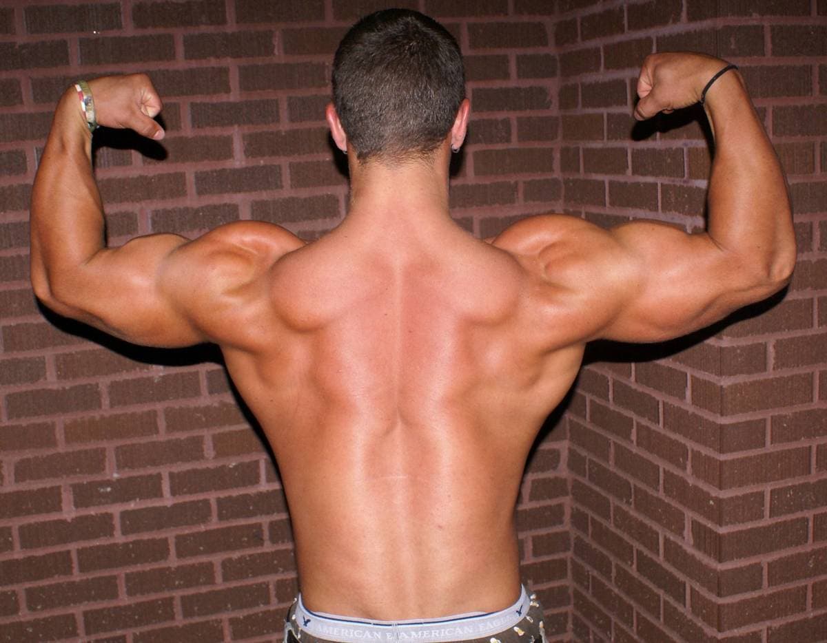 Rutina de ejercicios para bíceps y espalda
