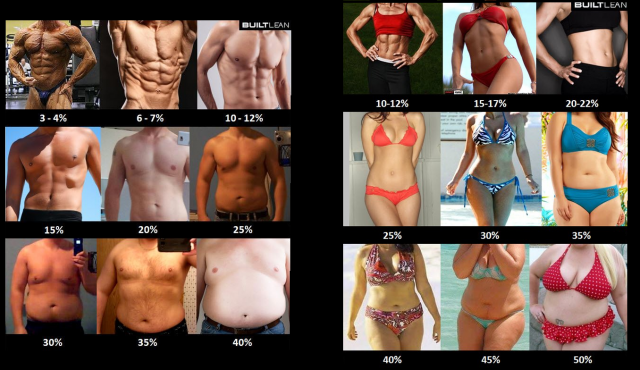 Porcentaje de grasa corporal