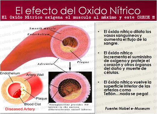 óxido nítrico