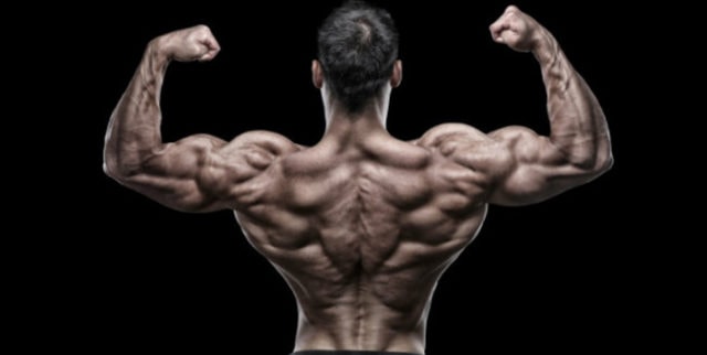 ganar masa muscular y perder músculo